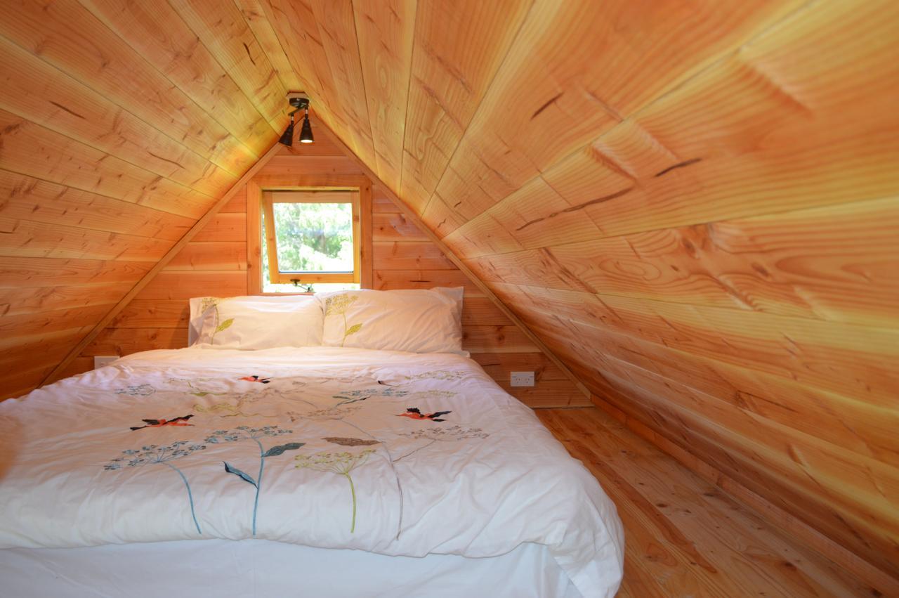 Sunrise Cabin At First Light Rangihaeata Retreat Takaka Exterior foto